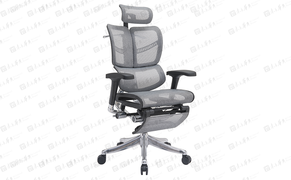 �k����|�W�������|�k���Ҿ�|Reym|���w���W�o���k���Σ���X��������� Reym