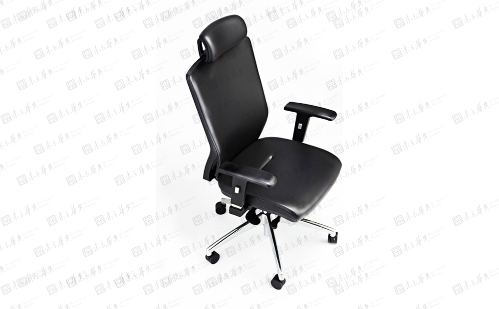 �k����|�F����Ƥ�����|�k���Ҿ�|Zebra����|�F�����w���W�OӋ���m͸����Ƥ �W������� �T�� �а��� ���h�� Zebra