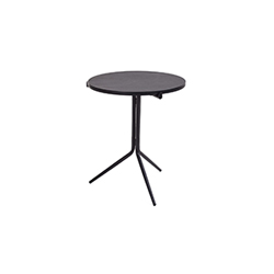 Tripod ������ CG-L2106-1