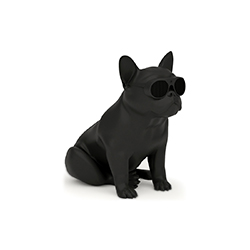 AeroBull XS1���� CG-K1050-1