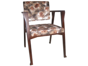 ��ľ���� CG-F335