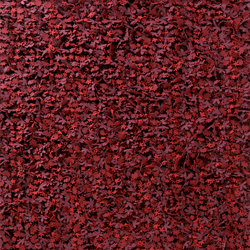 С�����̺ CG-DT1032
