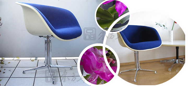 �F���������e��|�������e��|�k���Ҿ�|���e��|�������e�������Σ��OӋ����