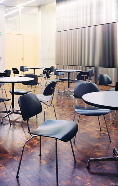 �F����������|����|�k���Ҿ�|���_