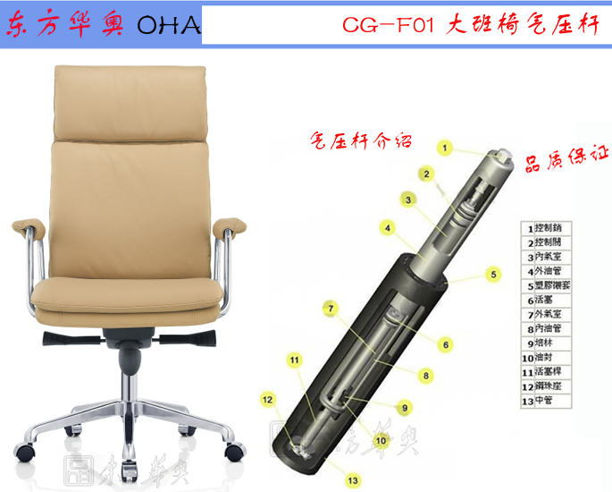 �k����|�F����Ƥ�����|�k���Ҿ�|��Ƥ�����|�k����������