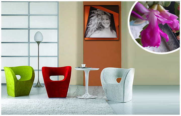 �F���������e��|�������e��|�k���Ҿ�|С����ؐ����|���e�����������e�����OӋ��������͏d�Σ��ư���