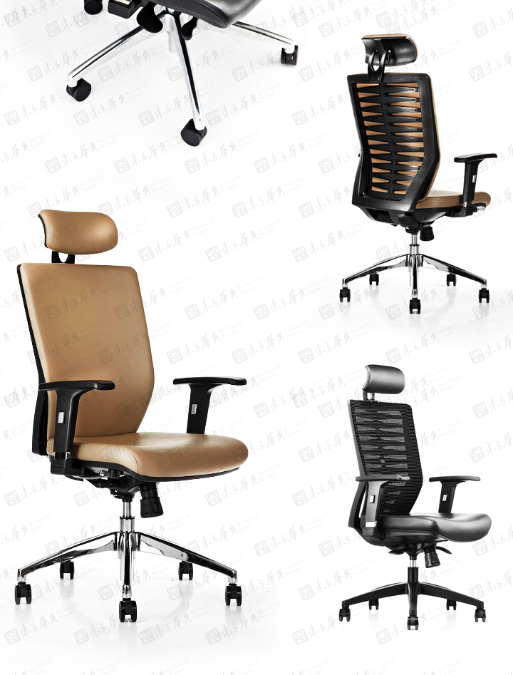 �k����|�����а���|�k���Ҿ�|Zebra����|�F�����w���W�OӋ���m͸����Ƥ �W������� �T�� �а��� ���h��